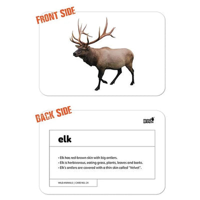 Wild Animals Education Flash Card for Kids