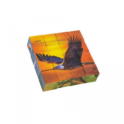 Educational Puzzle Cube Bird