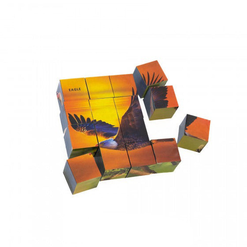 Educational Puzzle Cube Bird