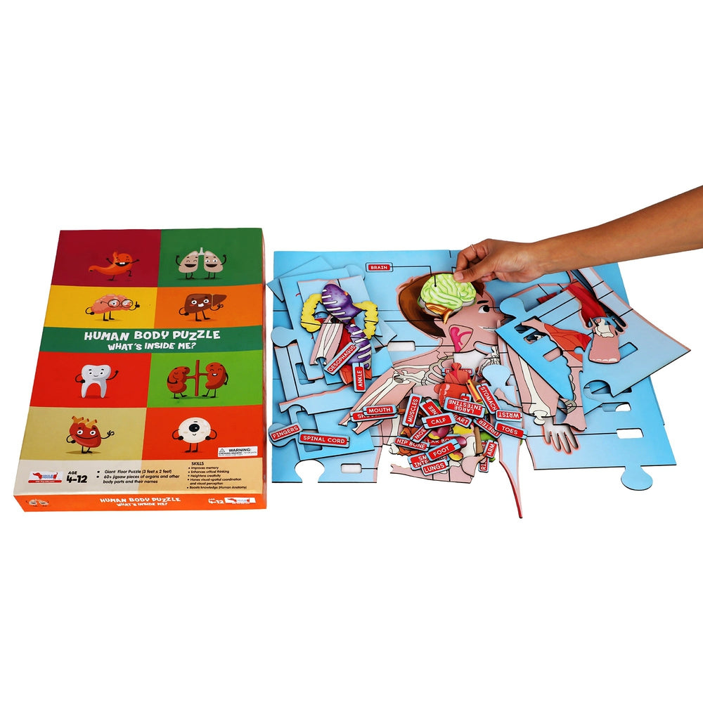 Human Body Parts Puzzle for Kids