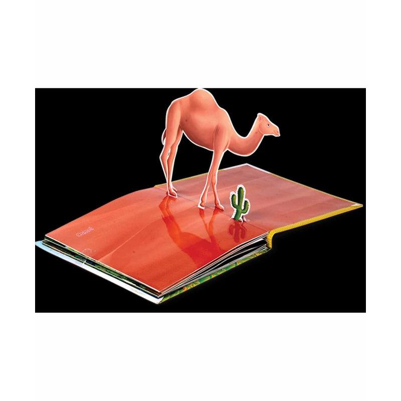 Animals Pop-up Book