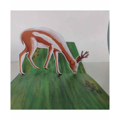 Animals Pop-up Book