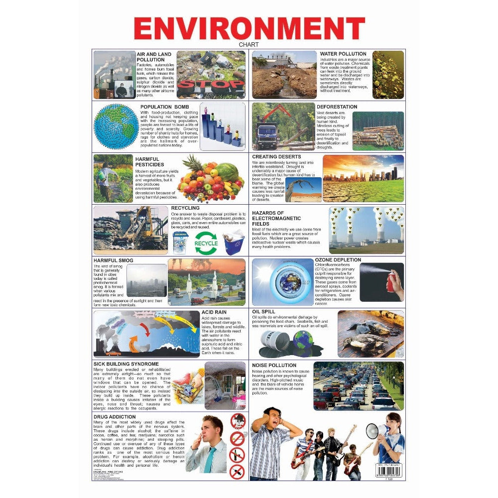 Environment Wall Chart