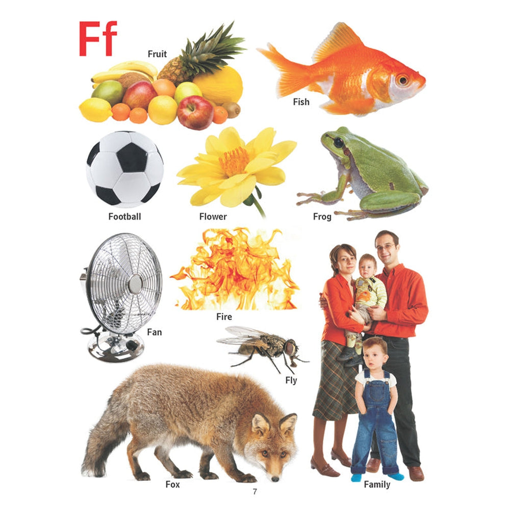 First Pictorial Dictionary- Preschool Picture Book