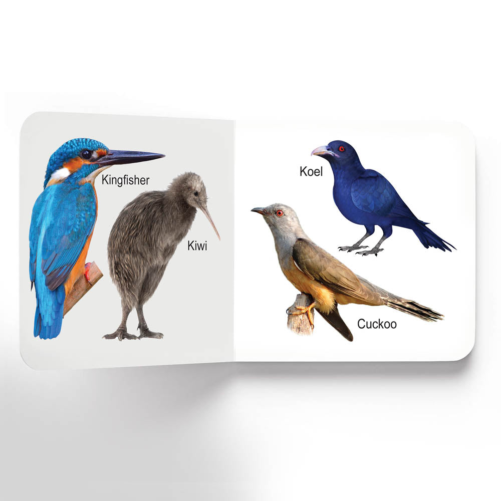 Lovely Board Books - Birds