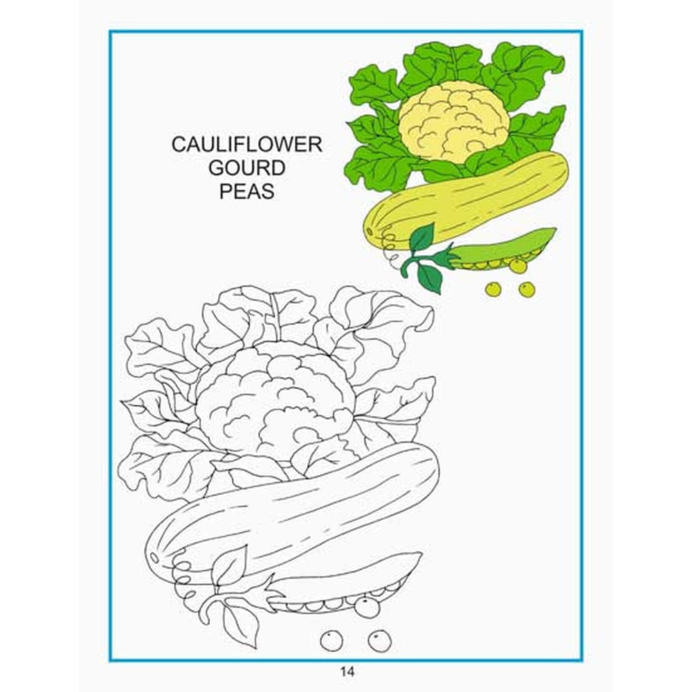 Creative Colouring Book - Vegetables