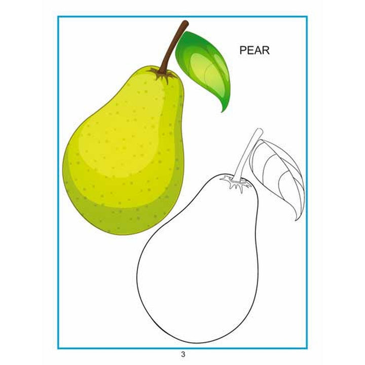 Creative Colouring Book - Fruits