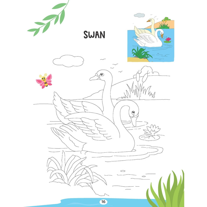 Creative Colouring Book - Water Animals