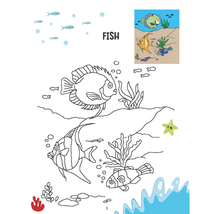 Creative Colouring Book - Water Animals