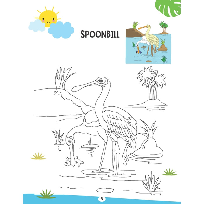 Creative Colouring Book - Water Animals