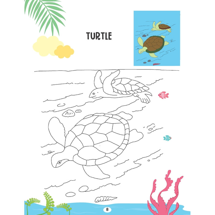 Creative Colouring Book - Water Animals