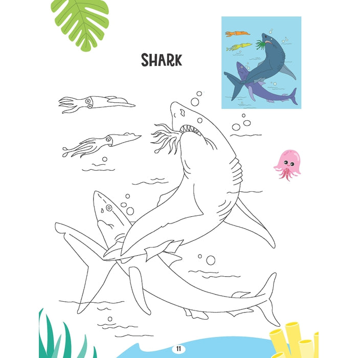 Creative Colouring Book - Water Animals