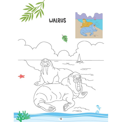 Creative Colouring Book - Water Animals