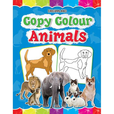 Copy Colour - Animals Colouring Book