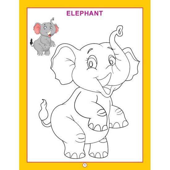 Copy Colour - Animals Colouring Book