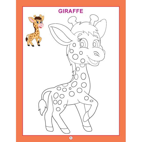 Copy Colour - Animals Colouring Book