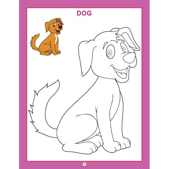 Copy Colour - Animals Colouring Book