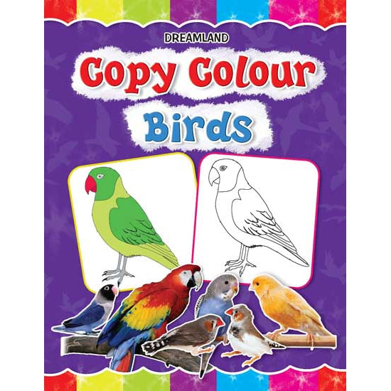 Copy Colour - Birds Colouring Book