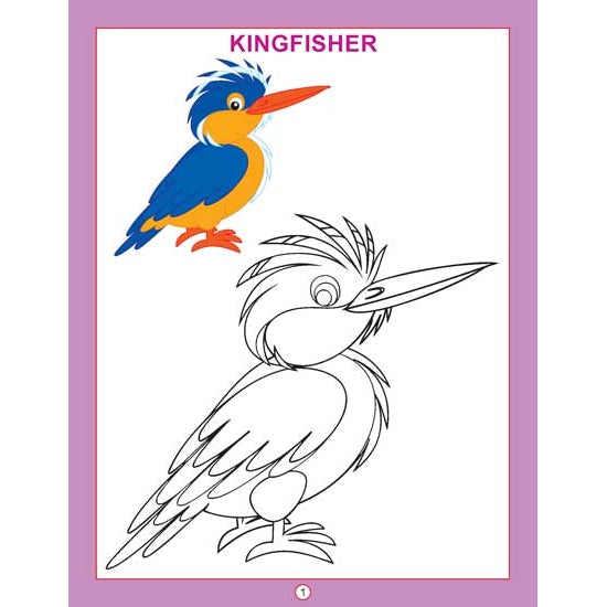 Copy Colour - Birds Colouring Book