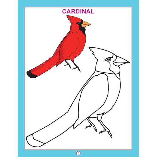 Copy Colour - Birds Colouring Book