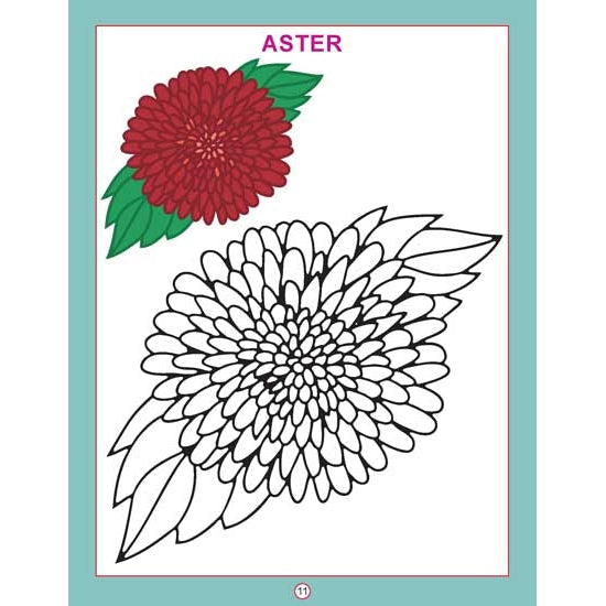 Copy Colour - Flowers Colouring Book