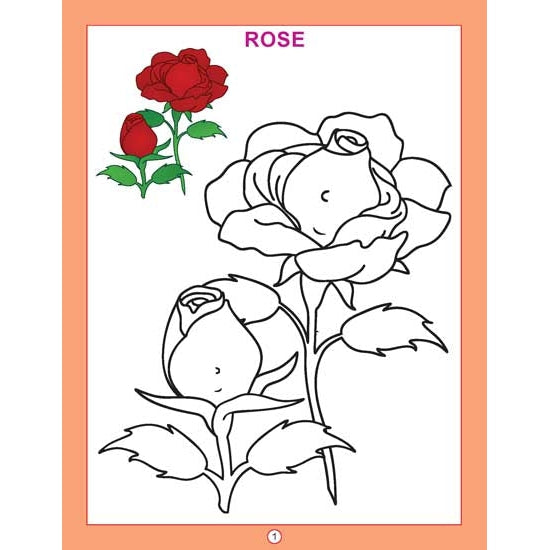 Copy Colour - Flowers Colouring Book