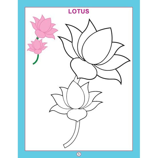 Copy Colour - Flowers Colouring Book