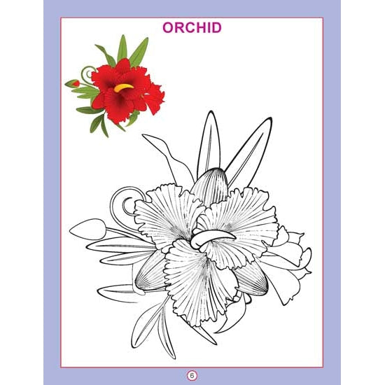 Copy Colour - Flowers Colouring Book