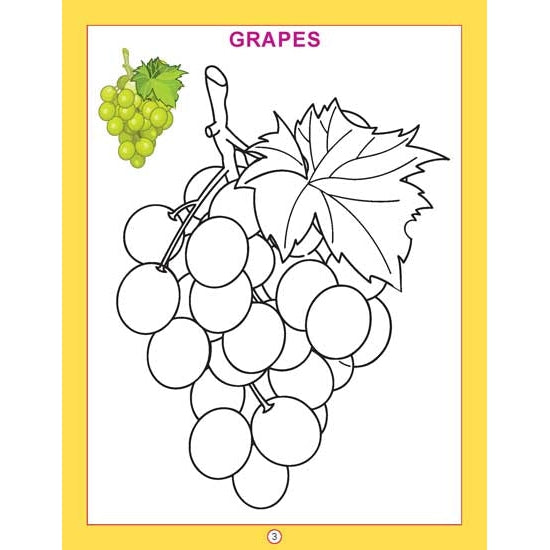 Copy Colour - Fruits Colouring Book