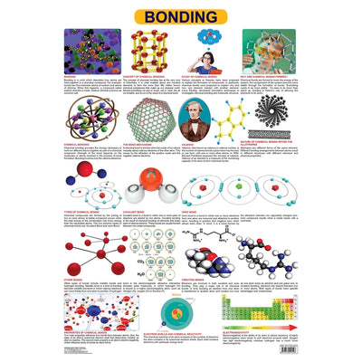 Bonding  - Wall Chart