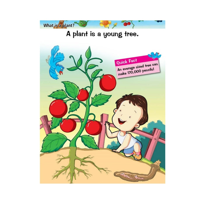 Plants & Trees - My Knowledge Book