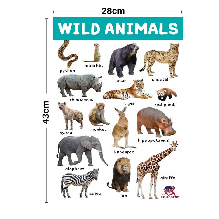 Animal Kingdom Charts For Children