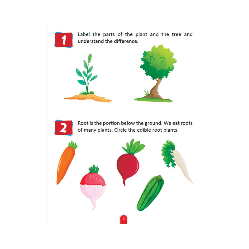 Plants & Trees Activity Book