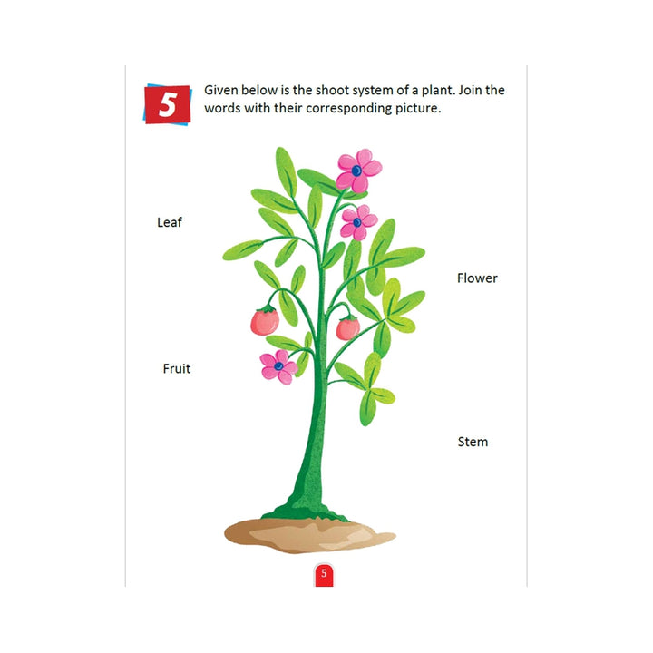 Plants & Trees Activity Book