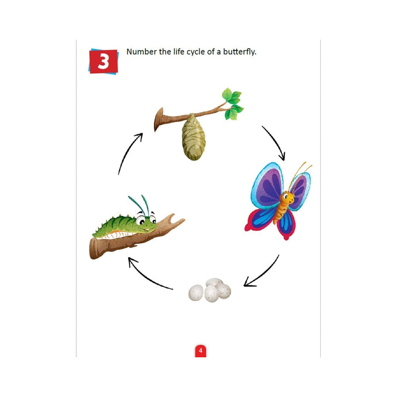 Science Activity Book