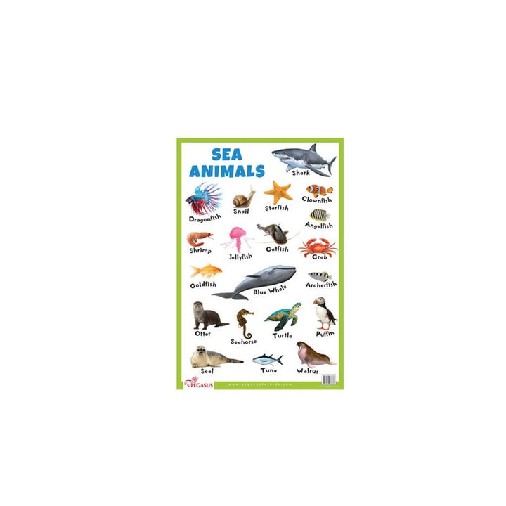 Sea Animals - Thick Laminated Primary Chart