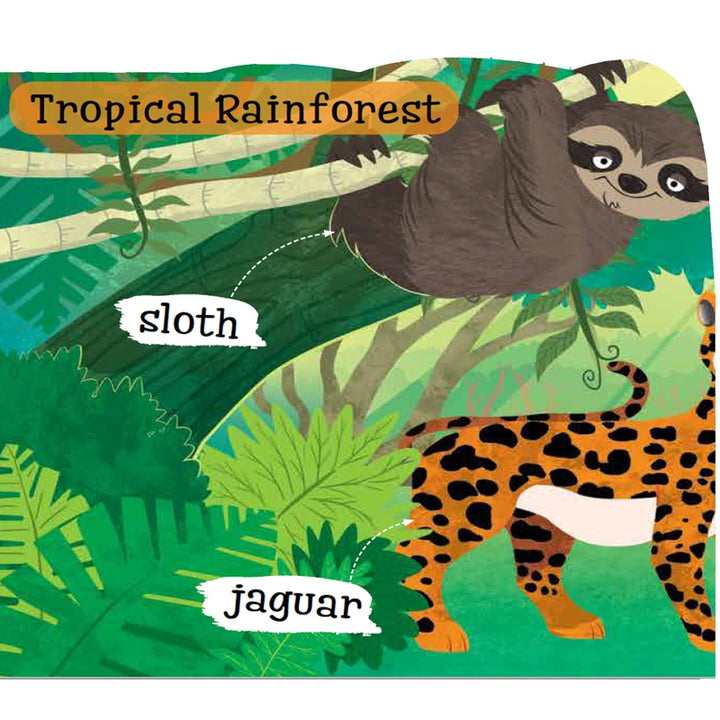 Jungle Picture Word Book