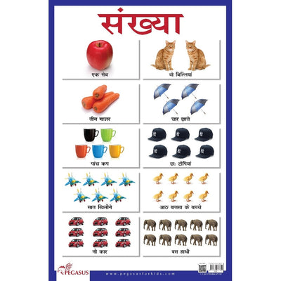 Sankhya Hindi Numbers - Thick Laminated Primary Chart