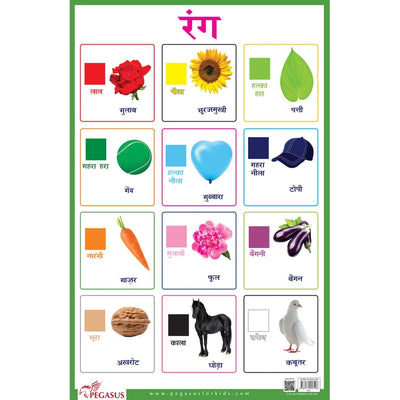 Rang Hindi Colours - Thick Laminated Primary Chart