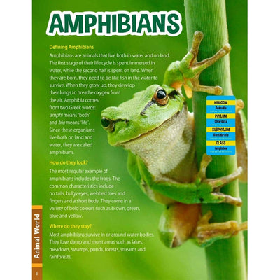 Animal World Children's Encyclopedia