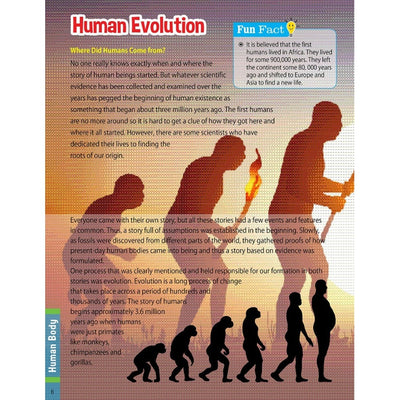 Human Body Children's Encyclopedia