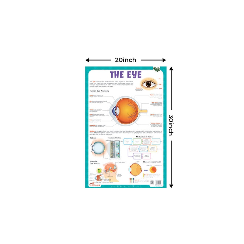 The Eye - Thick Laminated Chart