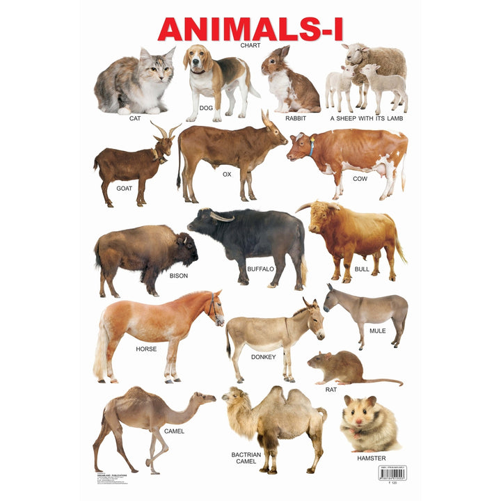 Animals-1 Wall Chart