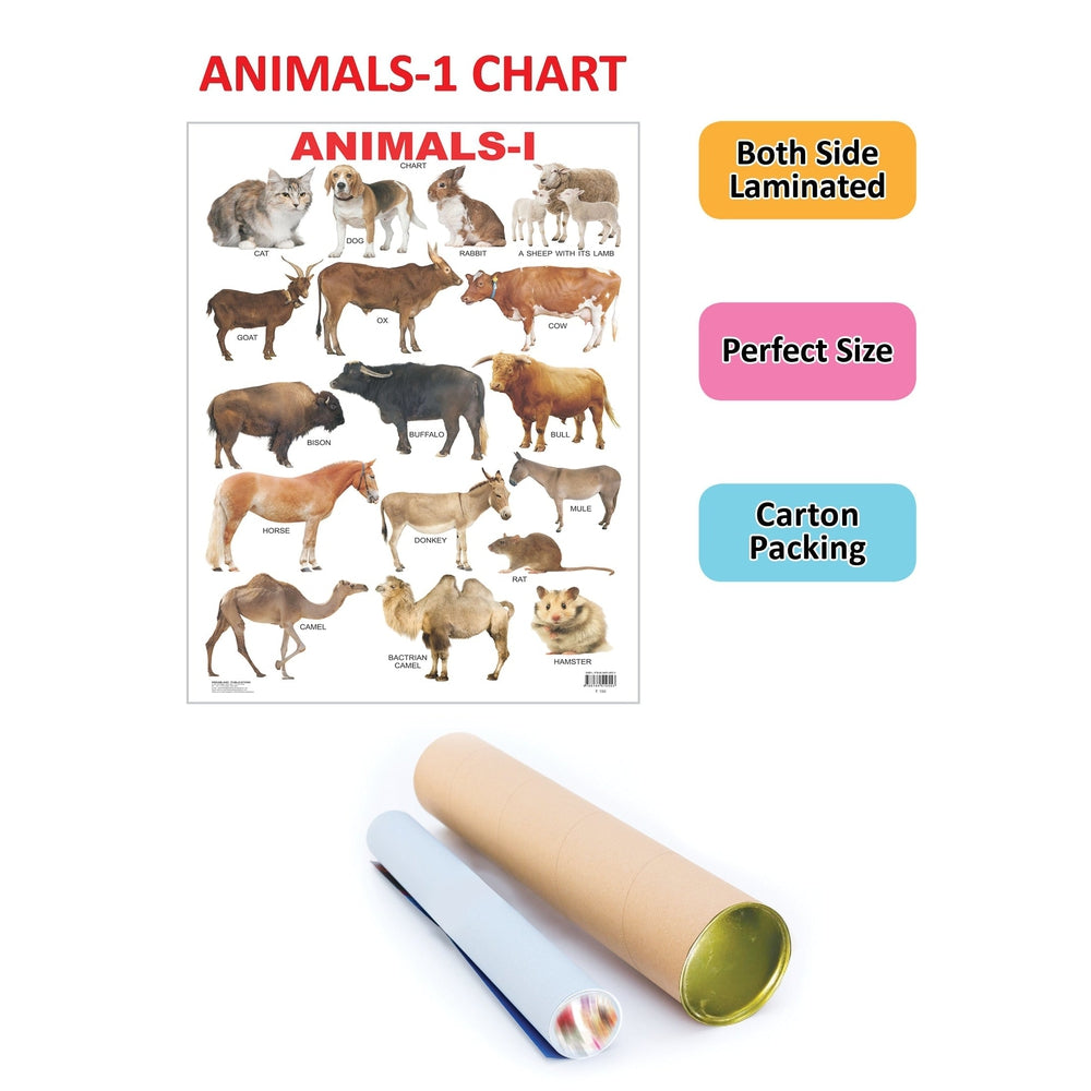 Animals-1 Wall Chart