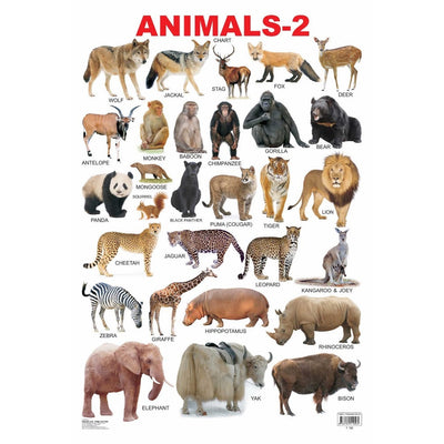 Animals-2 Wall Chart