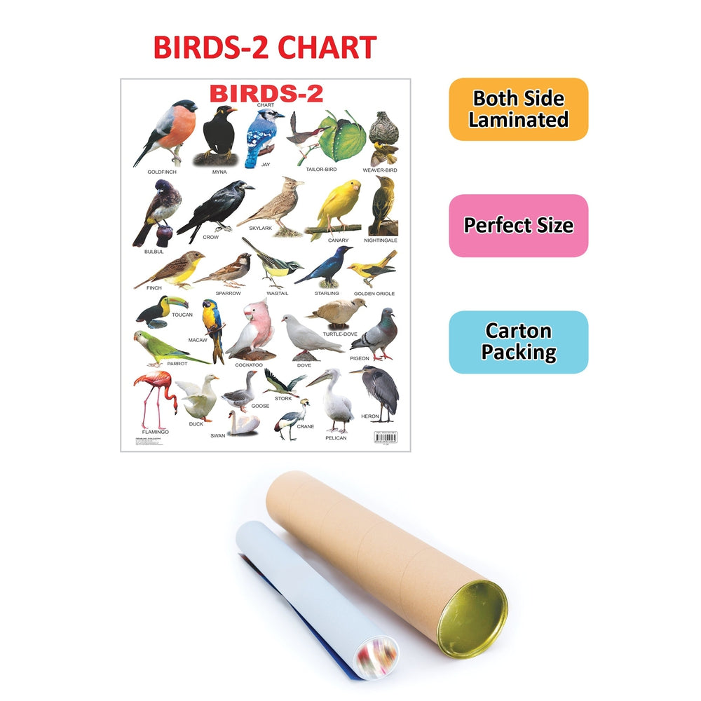 Birds-2 Wall Chart