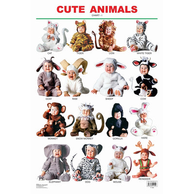 Cute Animals - 1 Chart