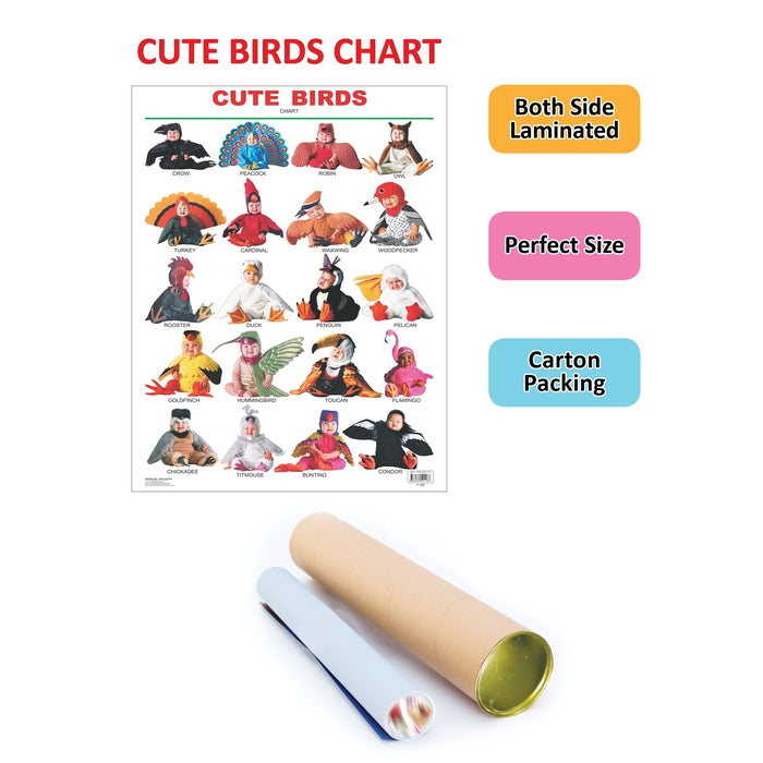 Cute Birds - Chart