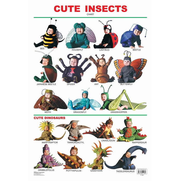 Buy Cute Insects Wall Chart (3-10 Years) on Snooplay India