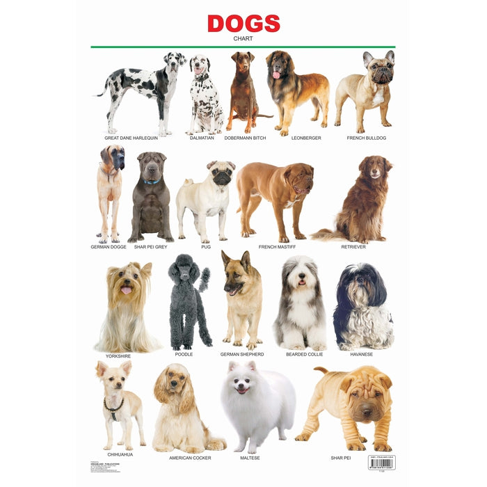 Dogs - Chart